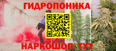 дмт Гай