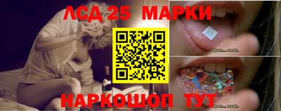 амф Гатчина