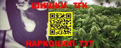амф Гатчина