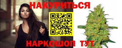 амф Гатчина