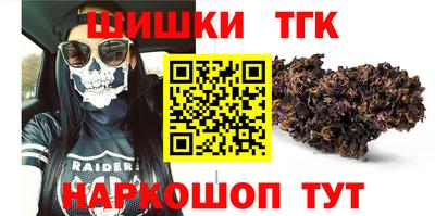 амф Гатчина