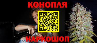 дмт Гай
