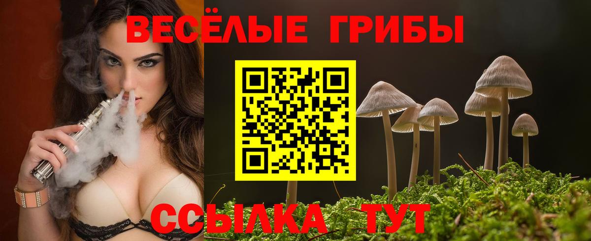 Галлюциногенные грибы прущие грибы Усинск